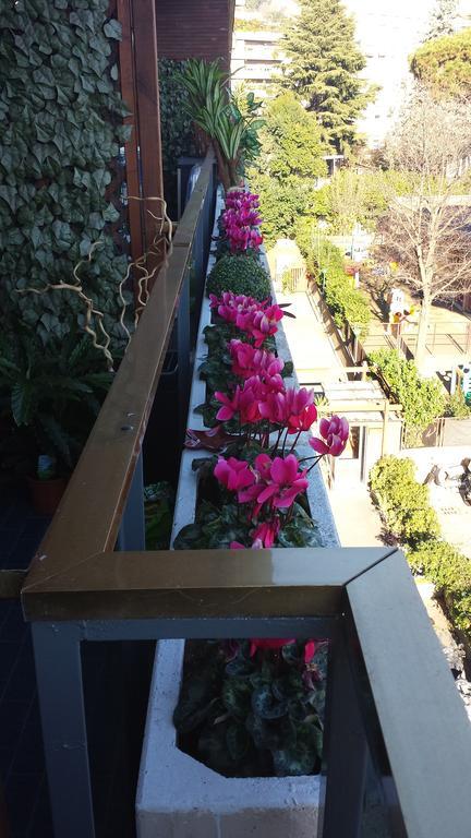 Fiore Vaticano B&B Roma Dış mekan fotoğraf